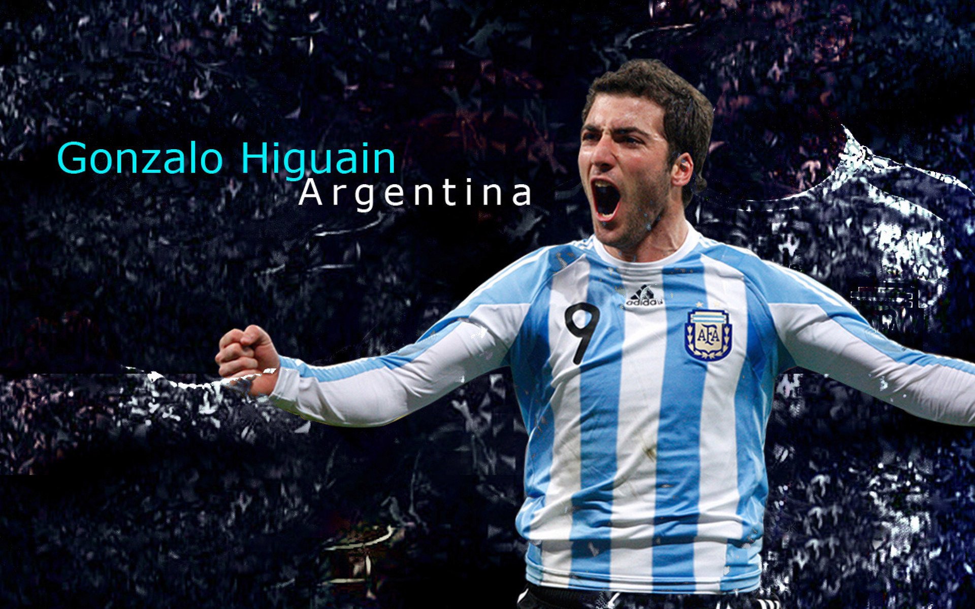 弗拉门戈攻防转换效率提升，弗拉门戈ds